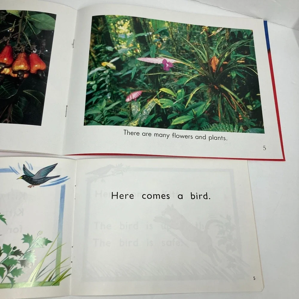 Lot Of 20 Guided Reading Levels D/E Paperback Single Copies‎ Homeschool Tutoring